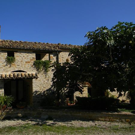 Azienda Agrituristica Colle San Giorgio Castiglione Messer Raimondo Exterior foto
