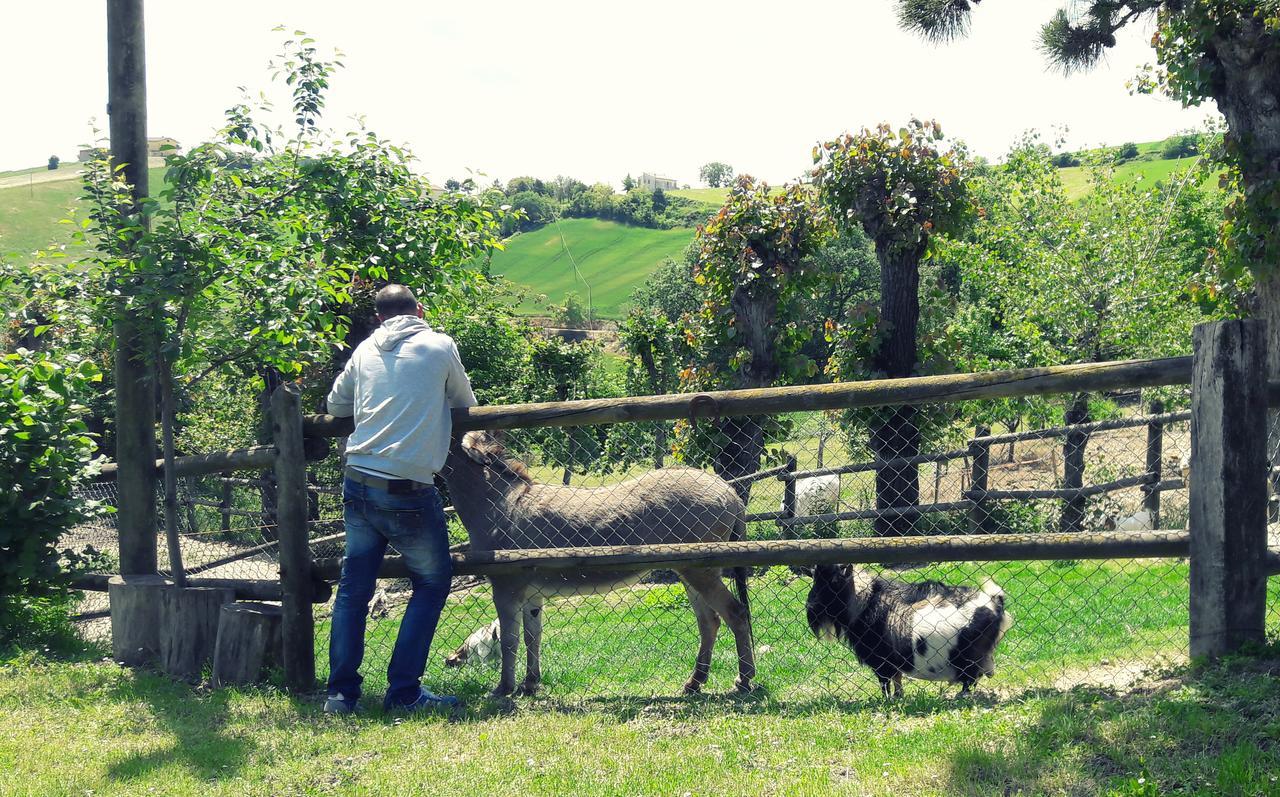 Azienda Agrituristica Colle San Giorgio Castiglione Messer Raimondo Exterior foto