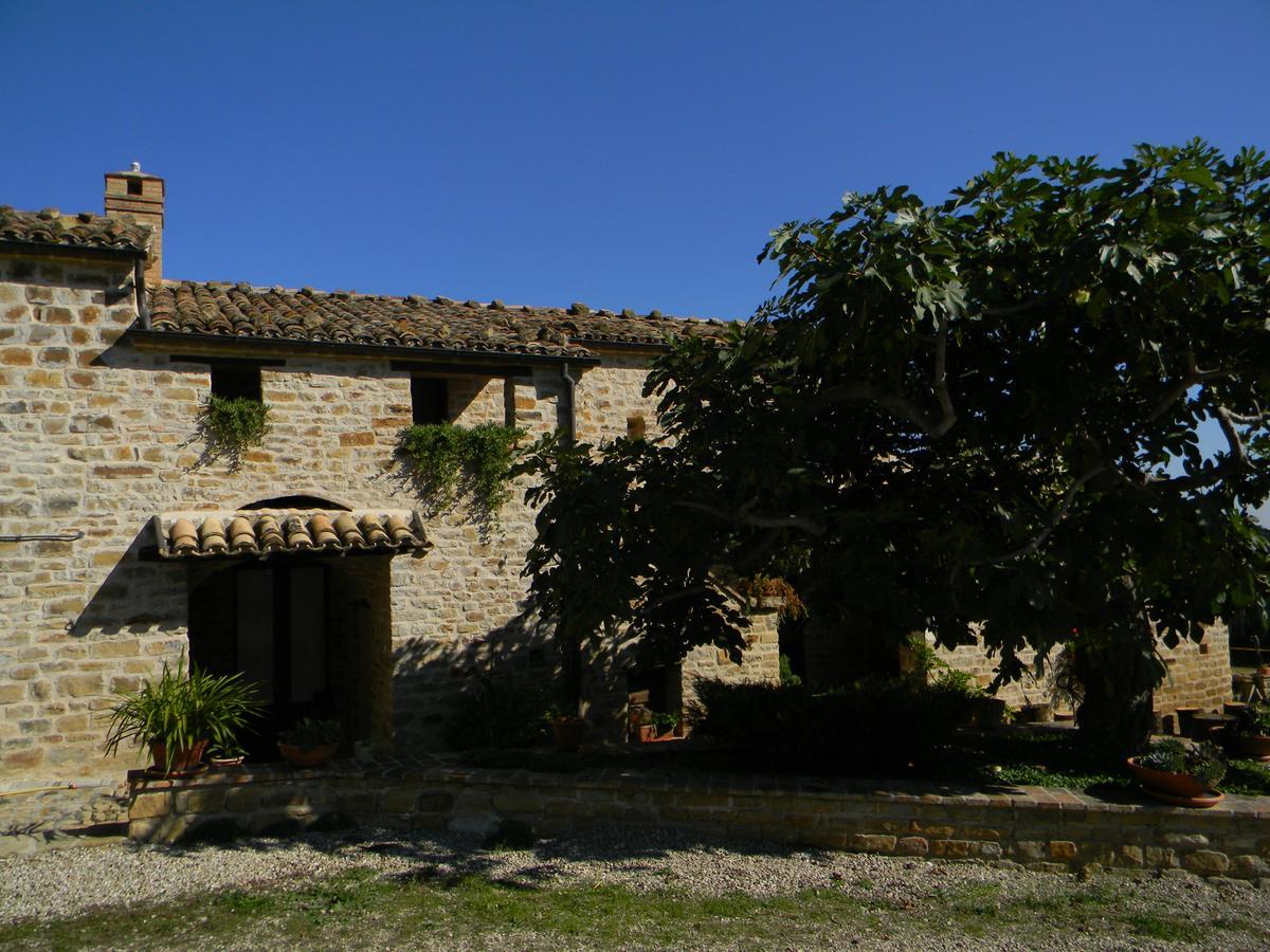 Azienda Agrituristica Colle San Giorgio Castiglione Messer Raimondo Exterior foto