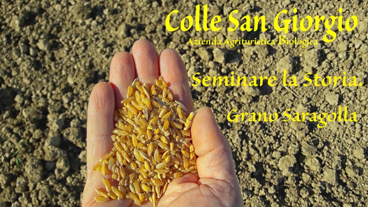 Azienda Agrituristica Colle San Giorgio Castiglione Messer Raimondo Exterior foto